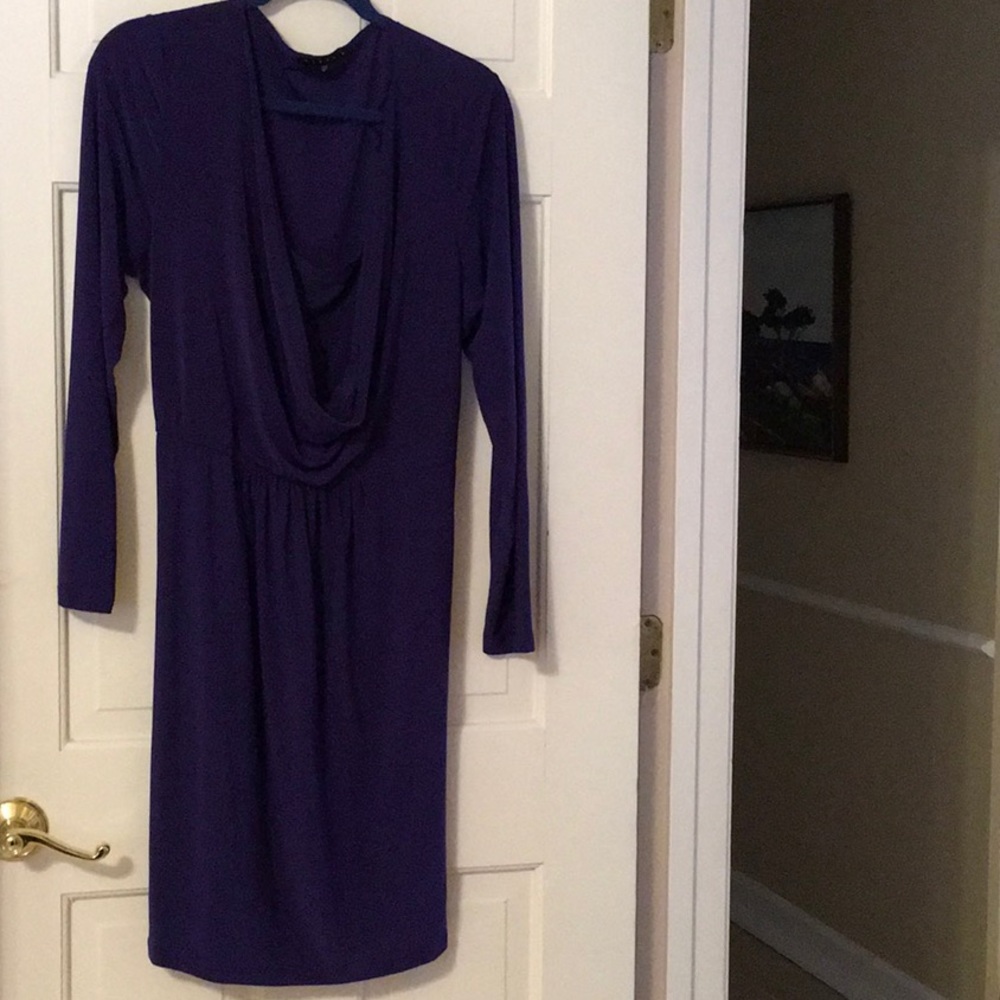 EUC,Tiana B Purple Knee length dress👗Draped front,washable,camisole is attached